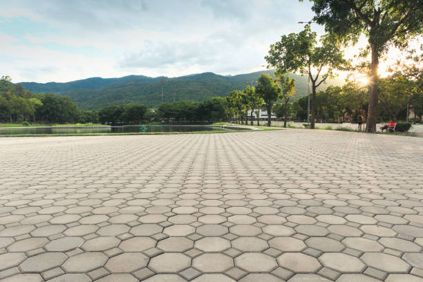 Best Concrete Paver Driveway  in Eyota, MN