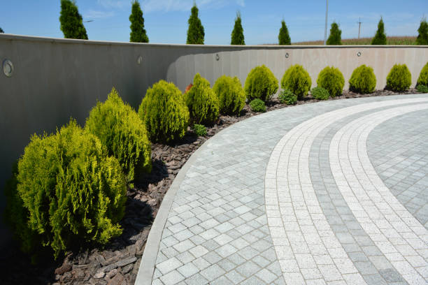 Best Best Driveway Pavers  in Eyota, MN